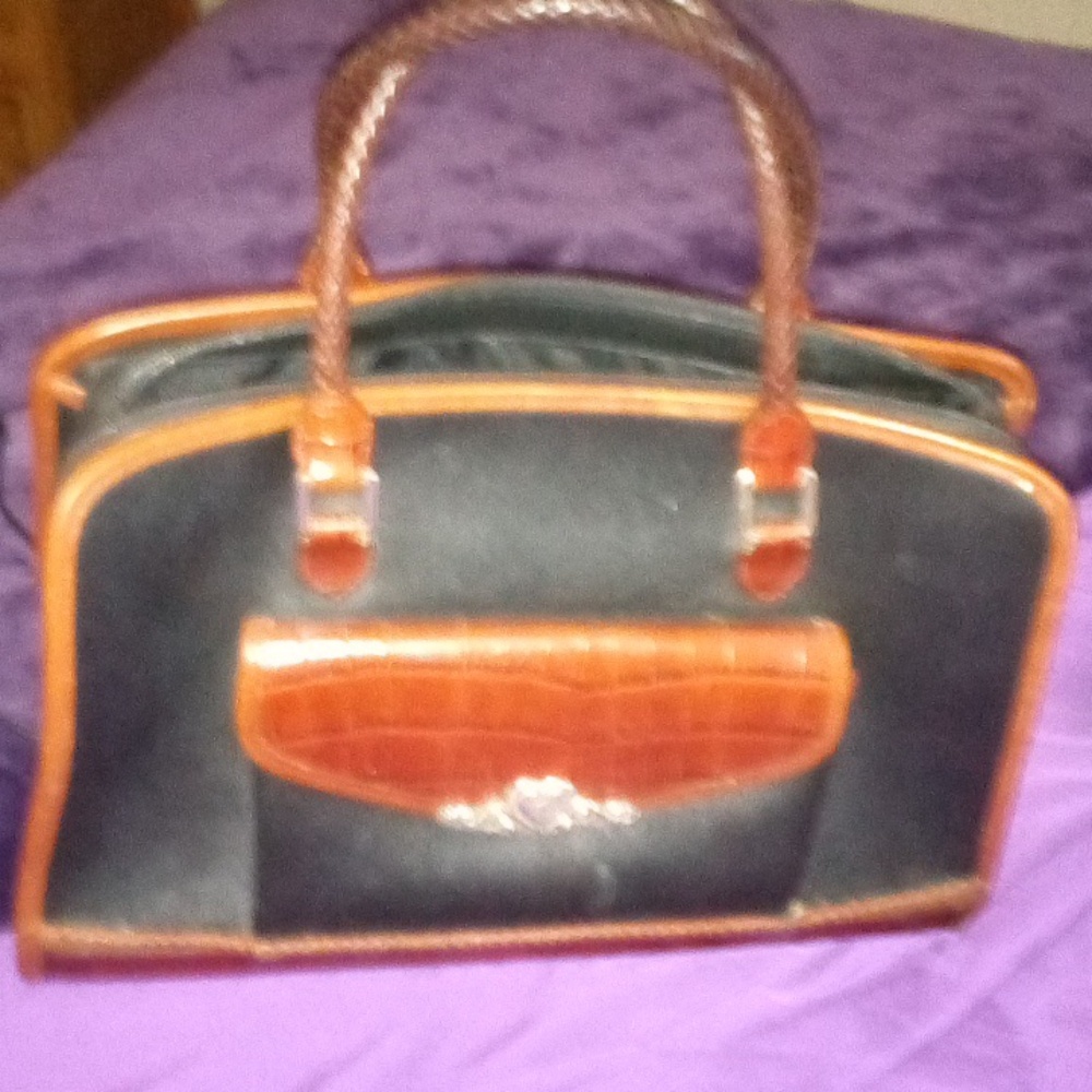 Brighton carrying case